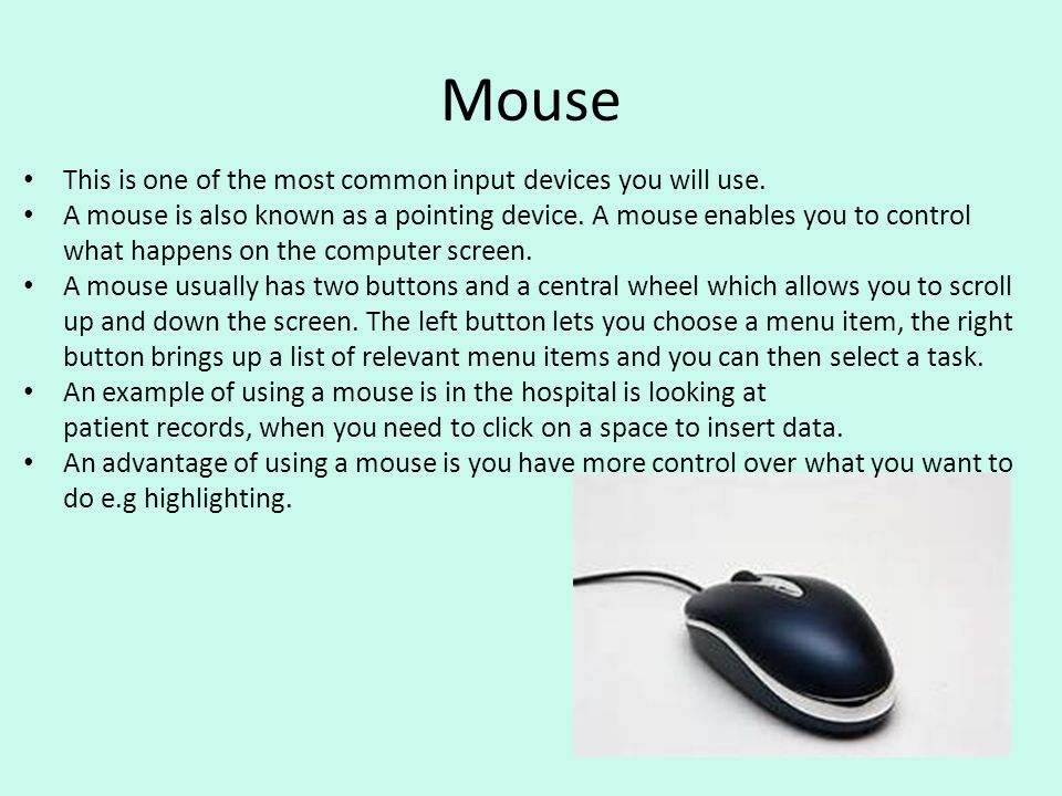Uses of 2024 computer mouse
